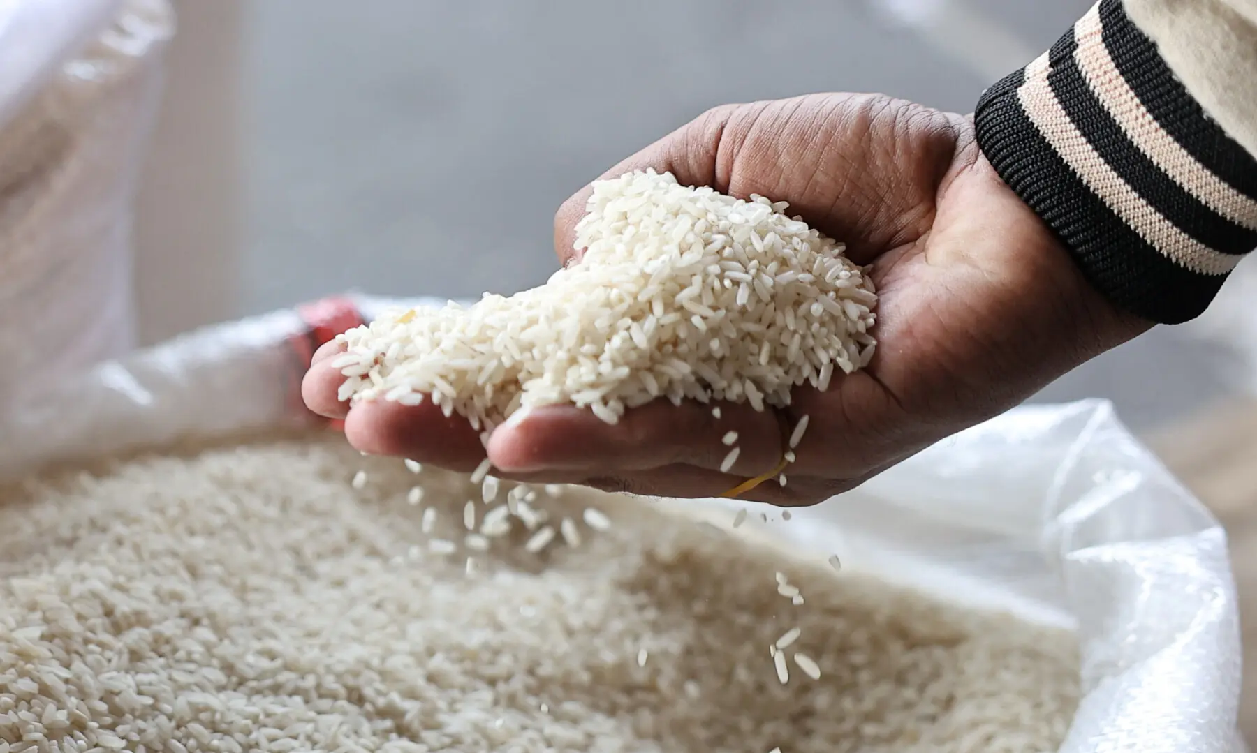 Rice