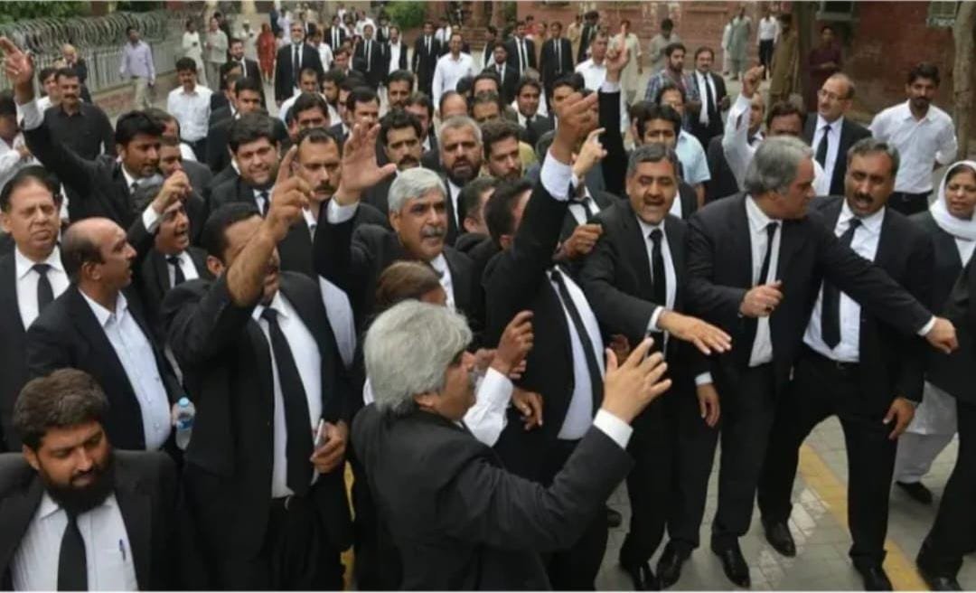 Lawyers