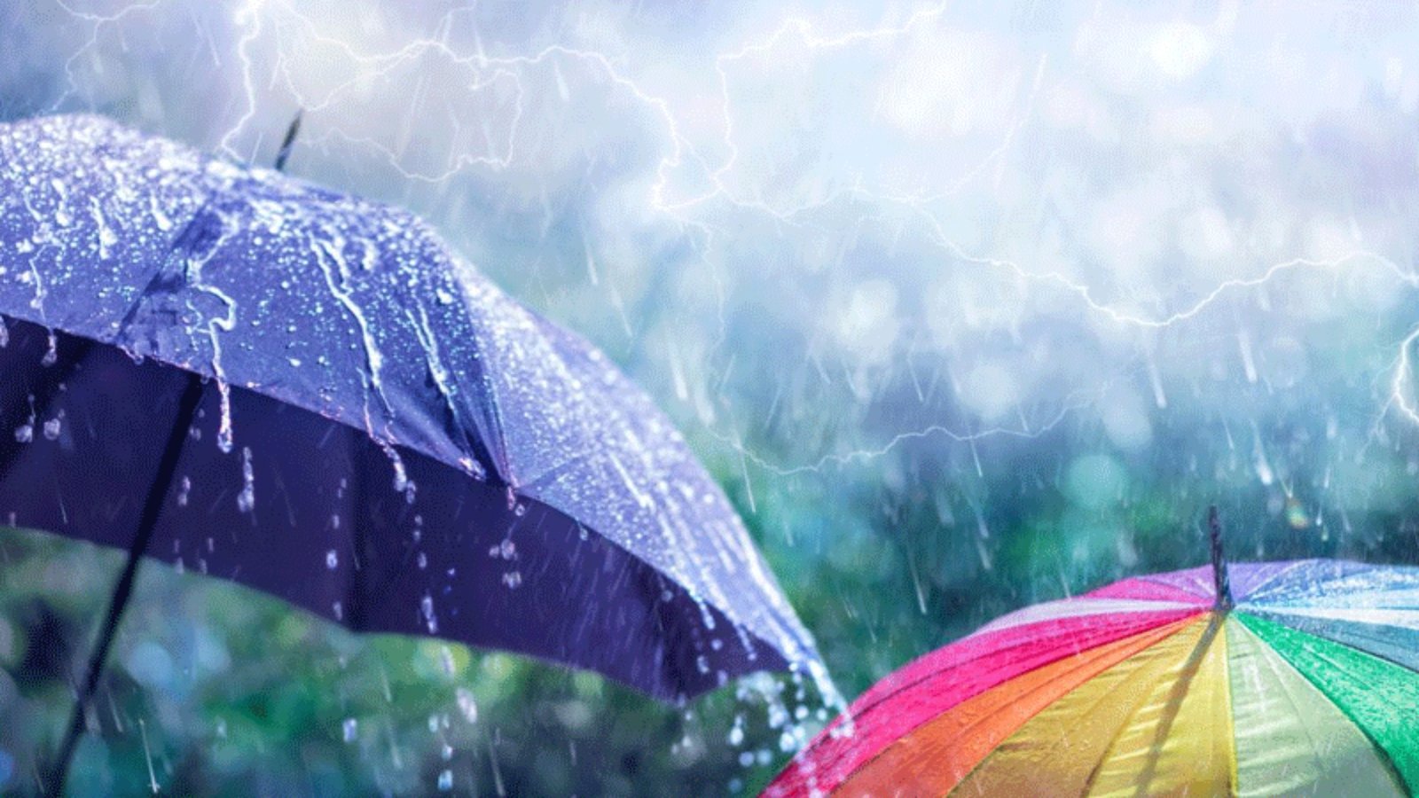 Weather