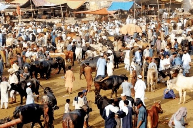 Eid