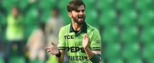 Shaheen