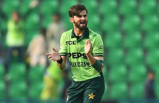 Shaheen