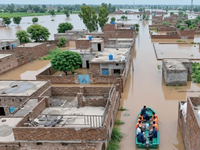 Flooded streets and submerged homes in Ferozewala after heavy monsoon rainfall.