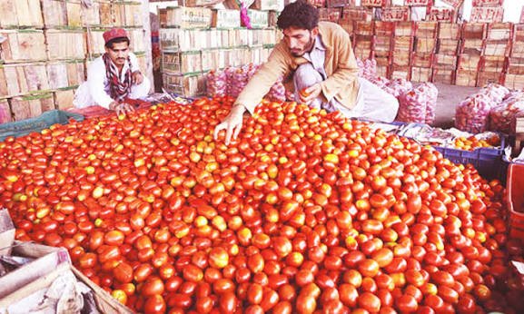 Fresh tomatoes displayed at a Karachi vegetable market with high price tags.