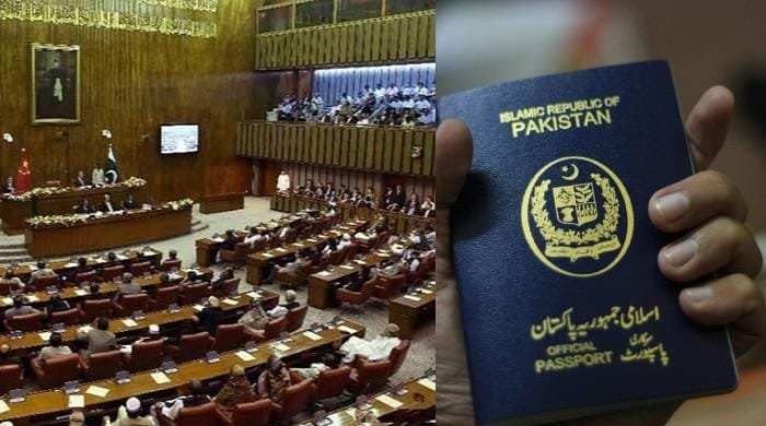 Senate Committee Approves Bill to Grant Free Blue Passports to Former MPs and Their Families Senate