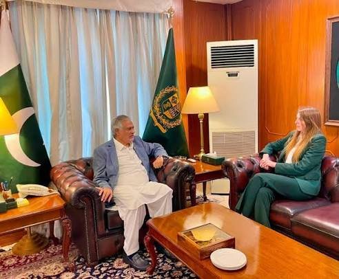 British High Commissioner Jane Marriott meets Deputy Prime Minister Ishaq Dar in Islamabad
