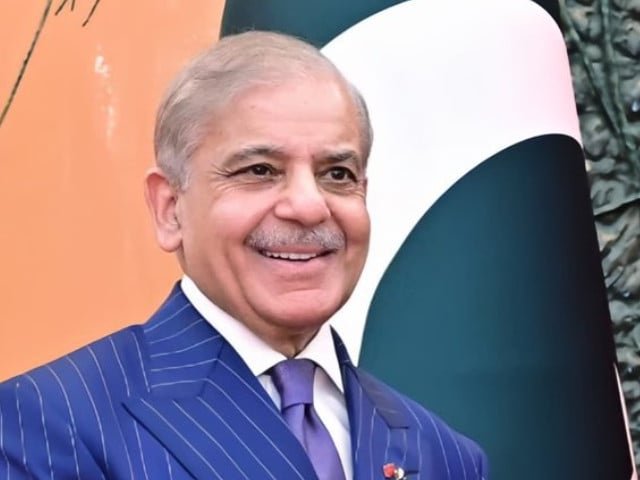 PM Shehbaz Sharif praises overseas Pakistanis for sending $3.6 billion in remittances