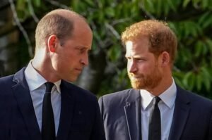 Will Prince William Ever Forgive Harry? Royal Expert Reveals What Could Keep Brothers Apart Prince William and Prince Harry during a royal engagement as speculation grows over their strained relationship