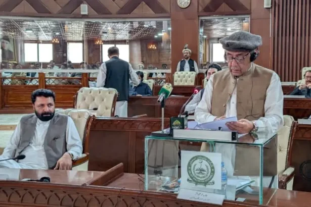 Gilgit-Baltistan Finance Minister Mohammad Ali Akhtar presenting the Rs218.845 billion 2026-27 budget in the GB Assembly