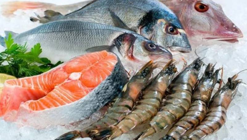 Pakistan seafood exports reach record $570 million as fish products return to EU markets