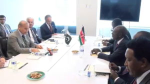 Prime Minister Shehbaz Sharif meets Kenyan President William Ruto in New York on the sidelines of UNGA 81
