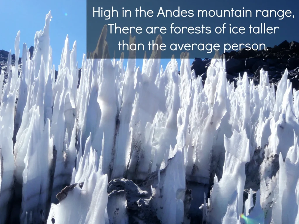 Penitentes, sharp snow towers rising across the high-altitude Andes Mountains